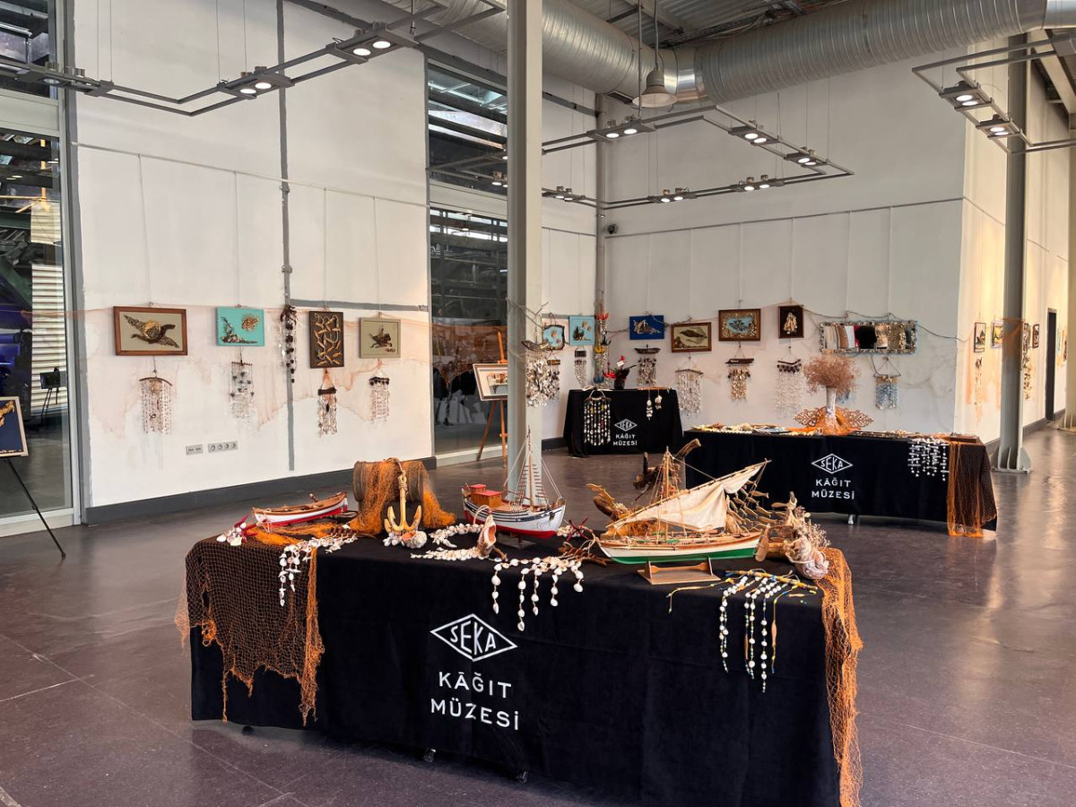 “Deniz Kabuğu Sergisi II “