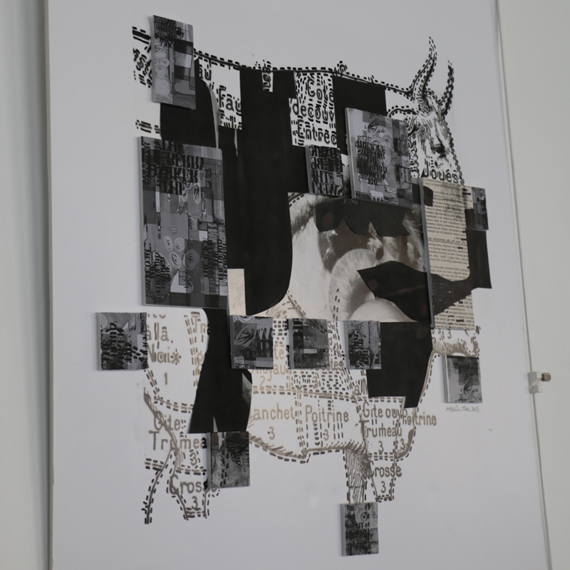 “Flanörün Hisleri” Kişisel Sergi,Ayşegül Türk